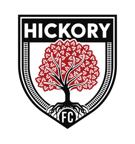 Hickory FC vs 865 Alliance poster