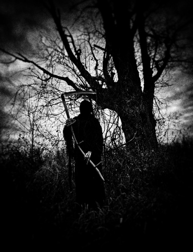 Haunted Nights at Wood Creek Hollow 