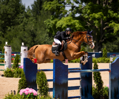 $117,000 Molon Excavating CSI3* Grand Prix image