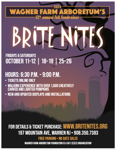 Brite Nites 2024 poster