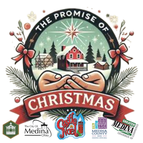 DONATIONS * to The Promise of Christmas * DONATIONS poster