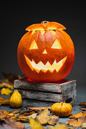 Nowhere Haunted House - Lights On Kid Friendly Tour