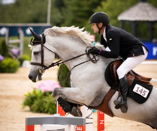 $117,000 CSI3* Grand Prix image