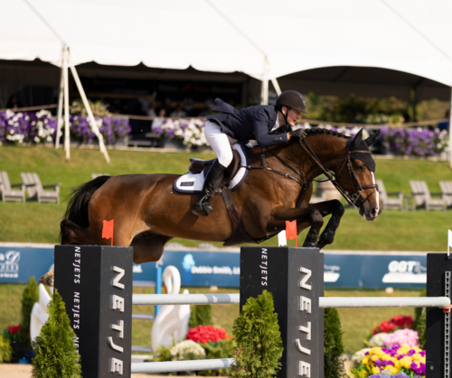 $117,000 CSI3* Grand Prix of Michigan image