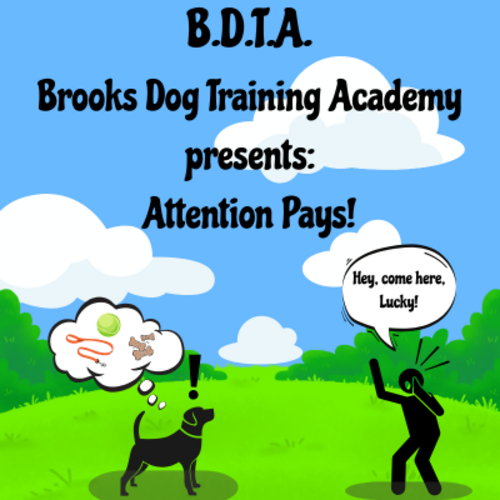 Attention Pays: A Workshop on Engagement & Focus for Dogs